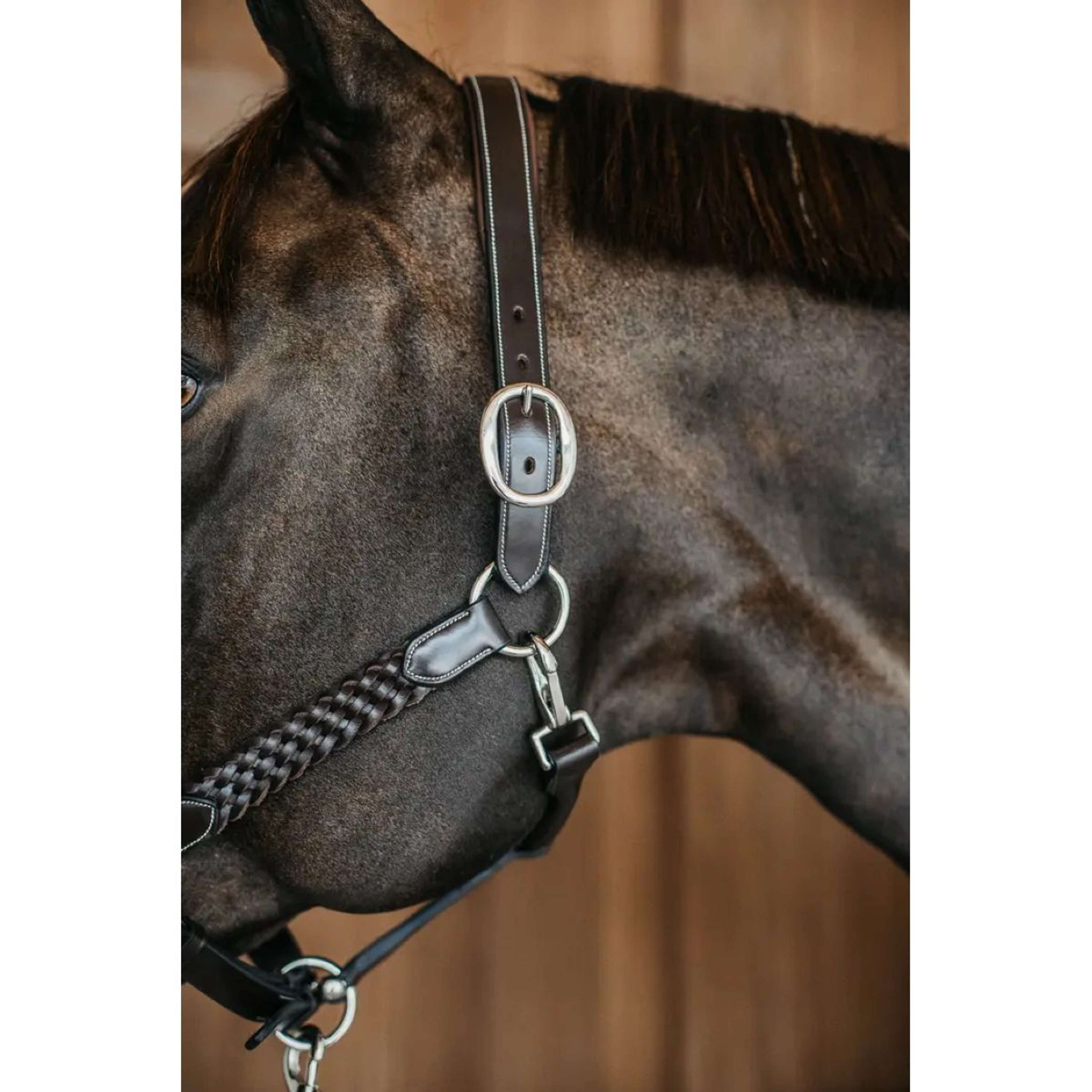 Dyon Halfter Plaited Braun Dyon Halfter Plaited Braun