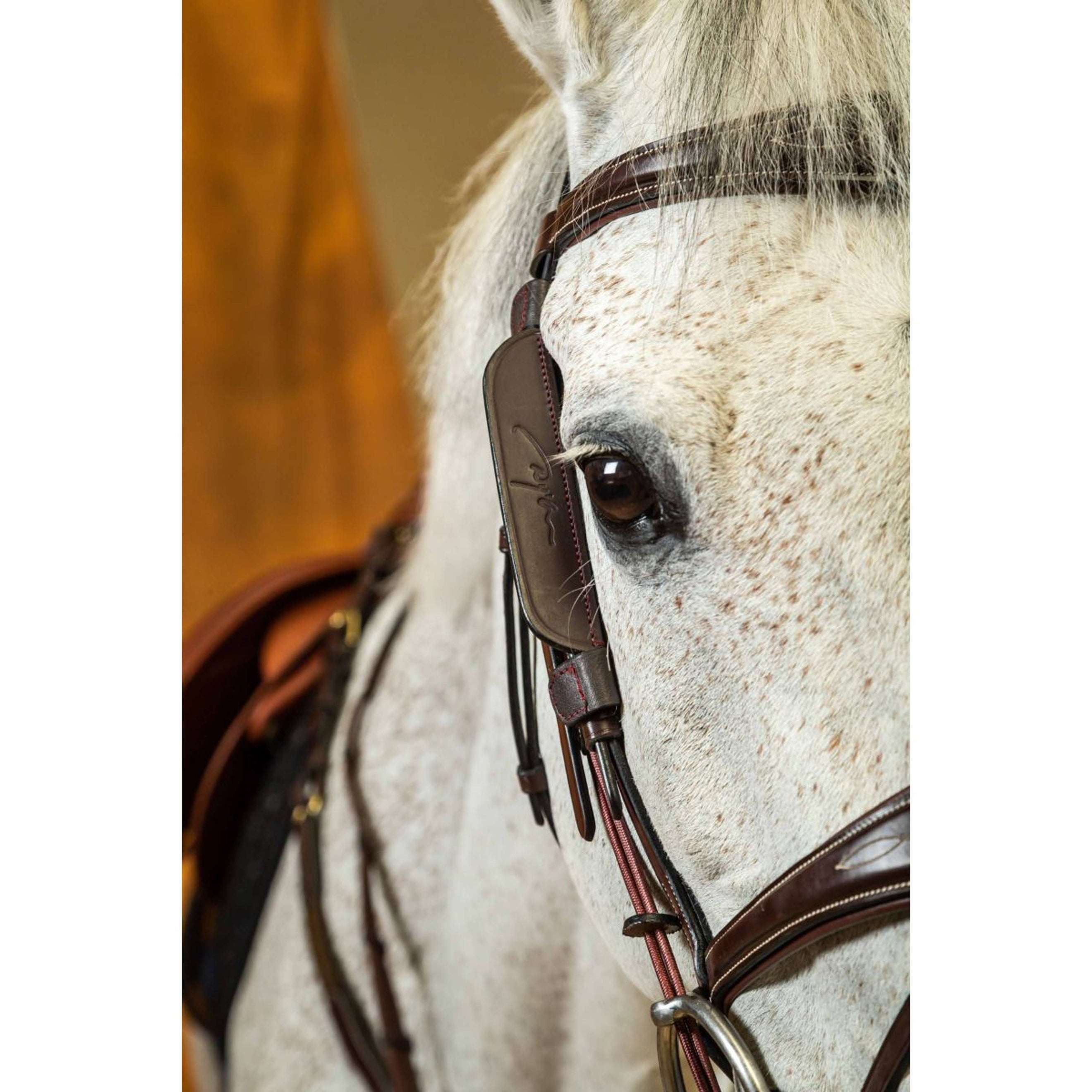 Dyon Blinkers Schwarz Dyon Blinkers Schwarz