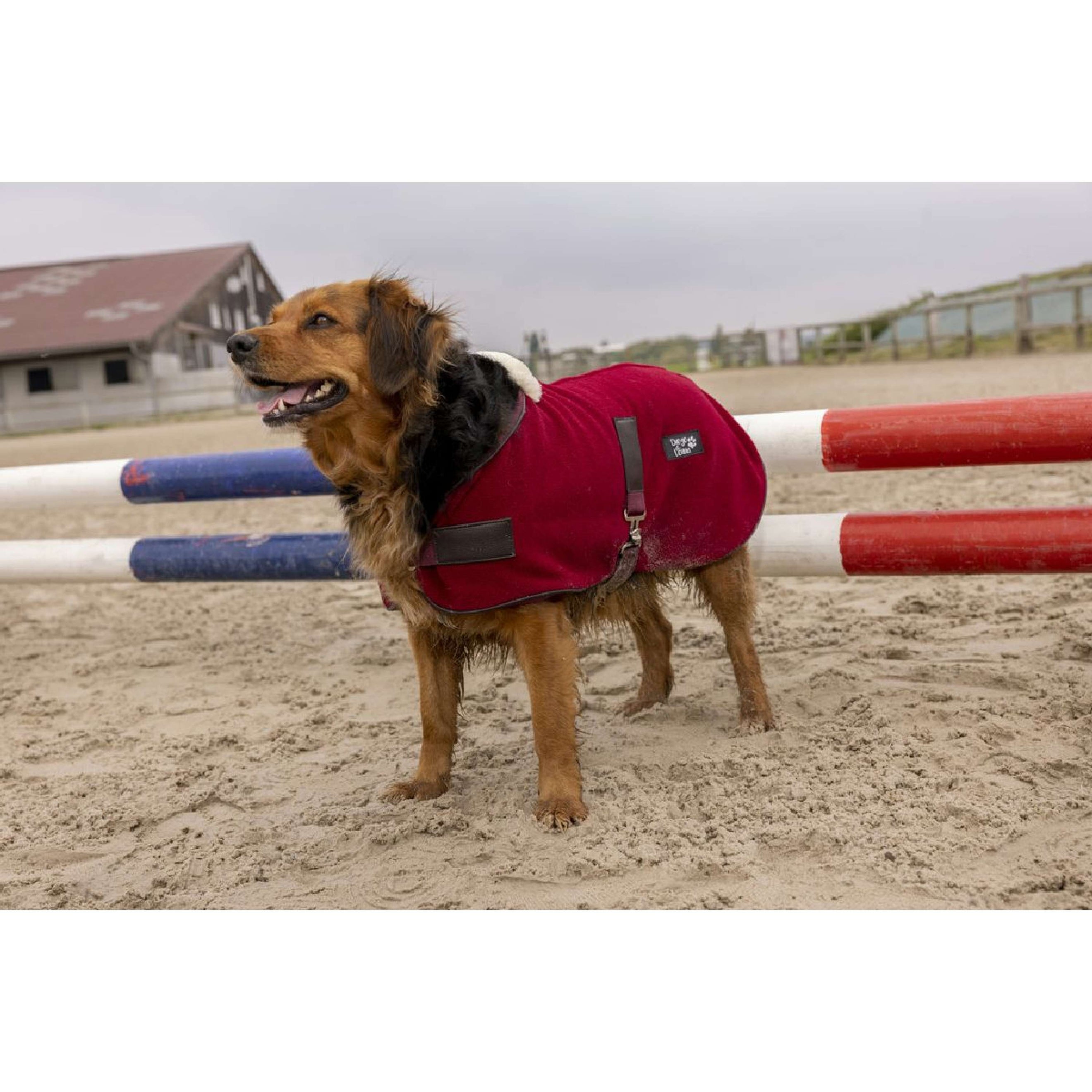 Diego & Louna Hundedecke Polar Bordeaux