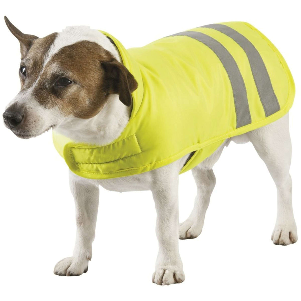 EQUITHÈME Hundedecke Fluorisierend Gelb