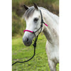 Norton Knotenhalfterset Fun Colour Ethologisch Schwarz/Fuchsie