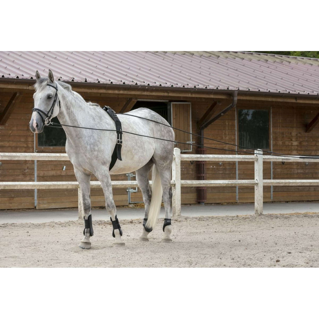 Riding World Zügel Leder/Seil Havanna