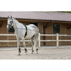 Riding World Zügel Leder/Seil Havanna