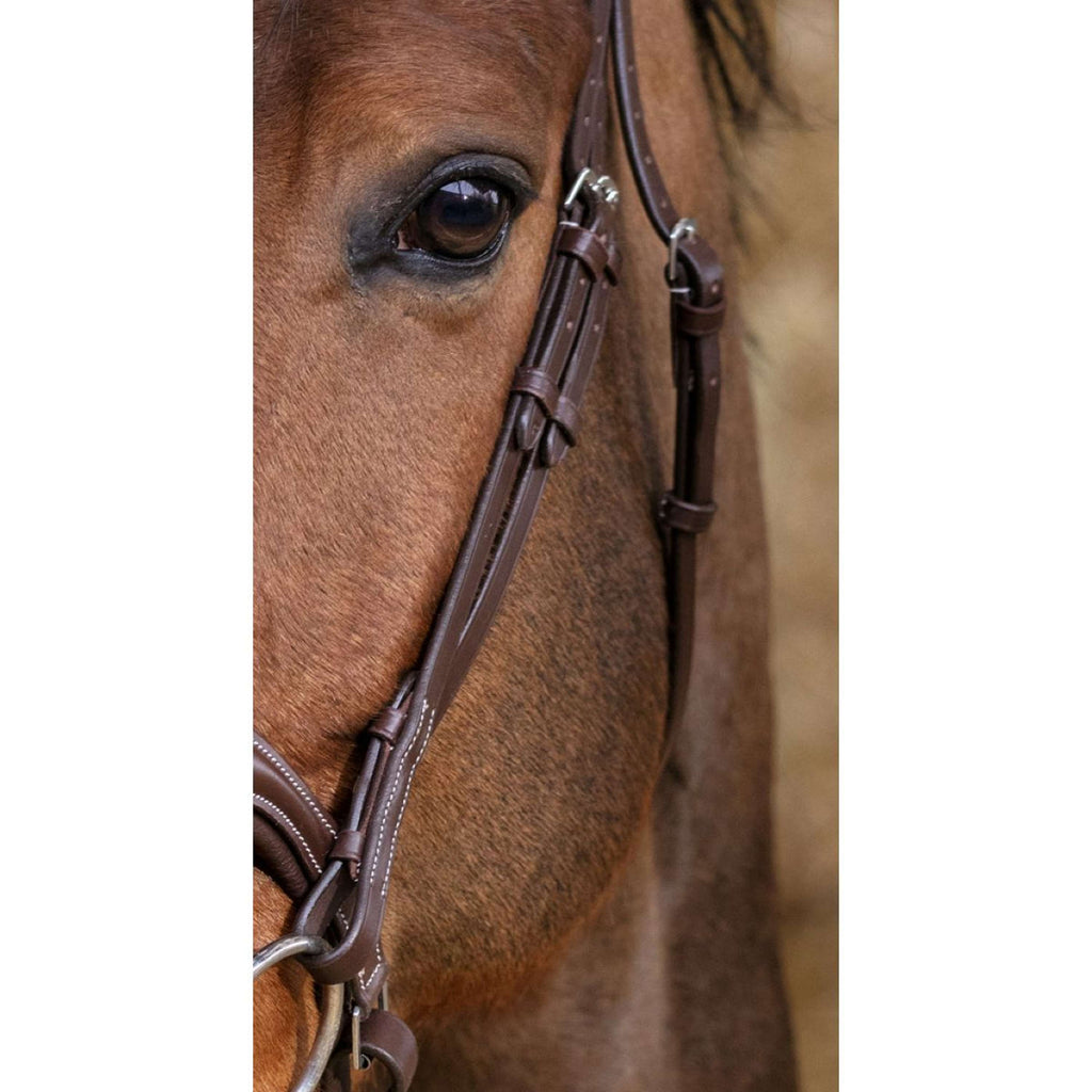 Norton Trense Pro Miss Havanna