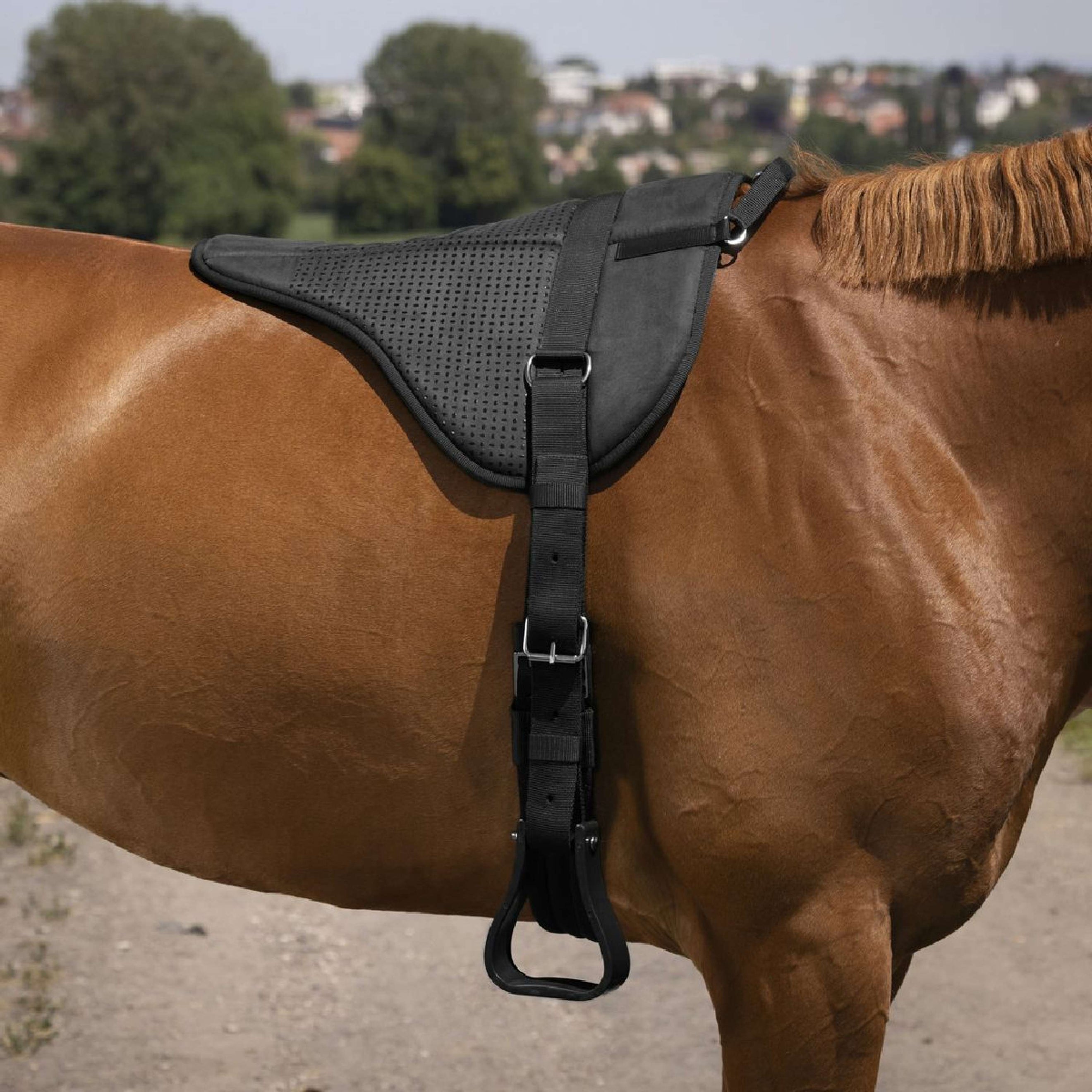 Norton Bareback Pad Silikon Schwarz Norton Bareback Pad Silikon Schwarz
