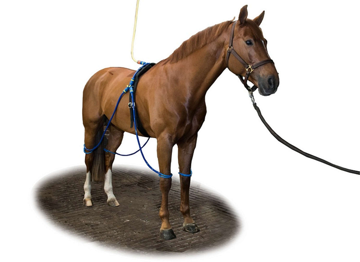 Equine Legcooler variante 1
