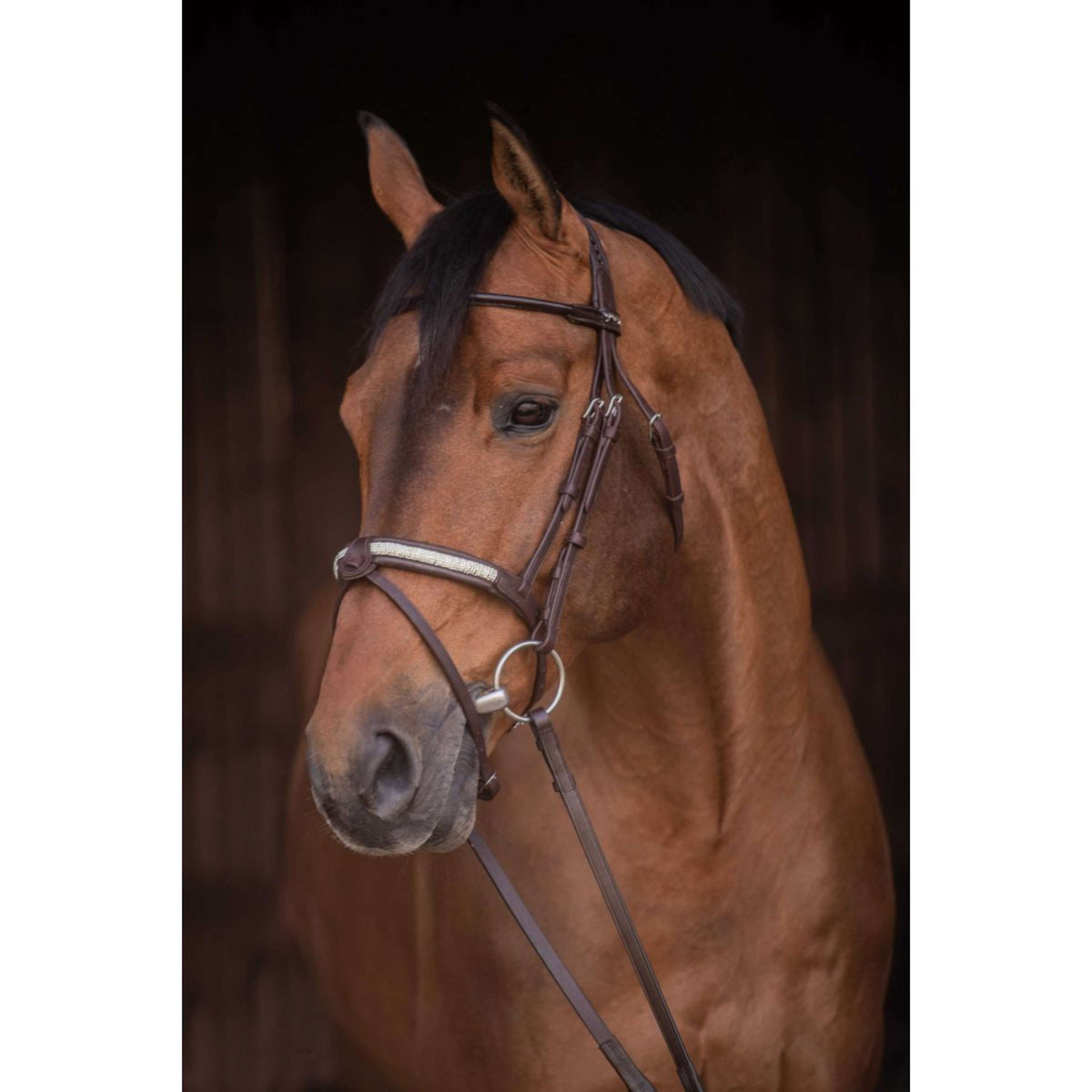 Pénélope Zaum Symphonie Havanna