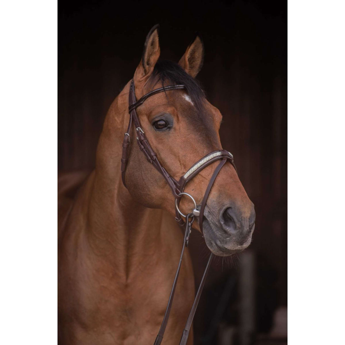 Pénélope Zaum Symphonie Havanna