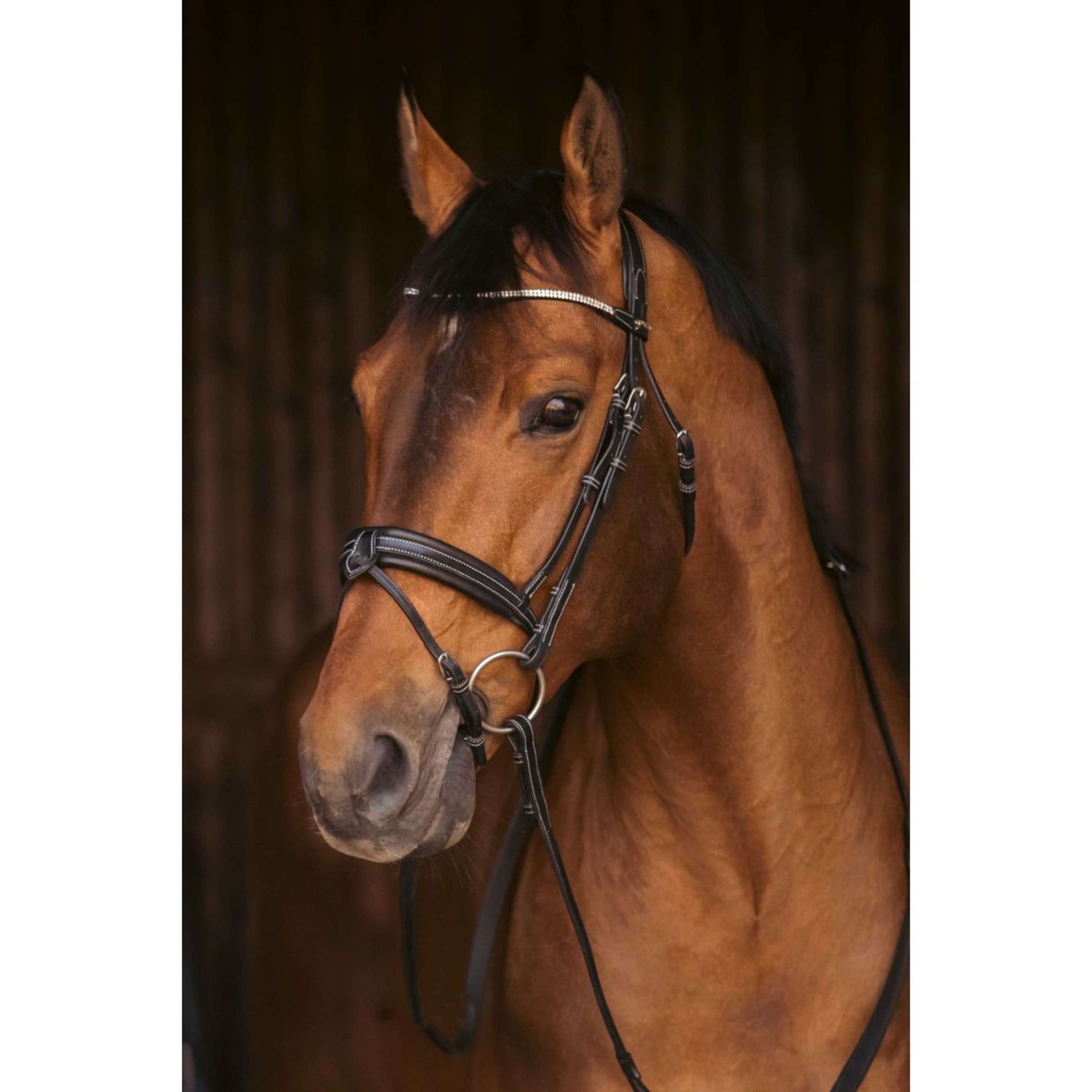 Pénélope Zaum Daily Strass Schwarz Pénélope Zaum Daily Strass Schwarz