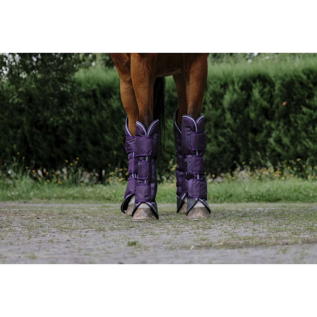 EQUITHÈME Transportgamaschen Tyrex 600D