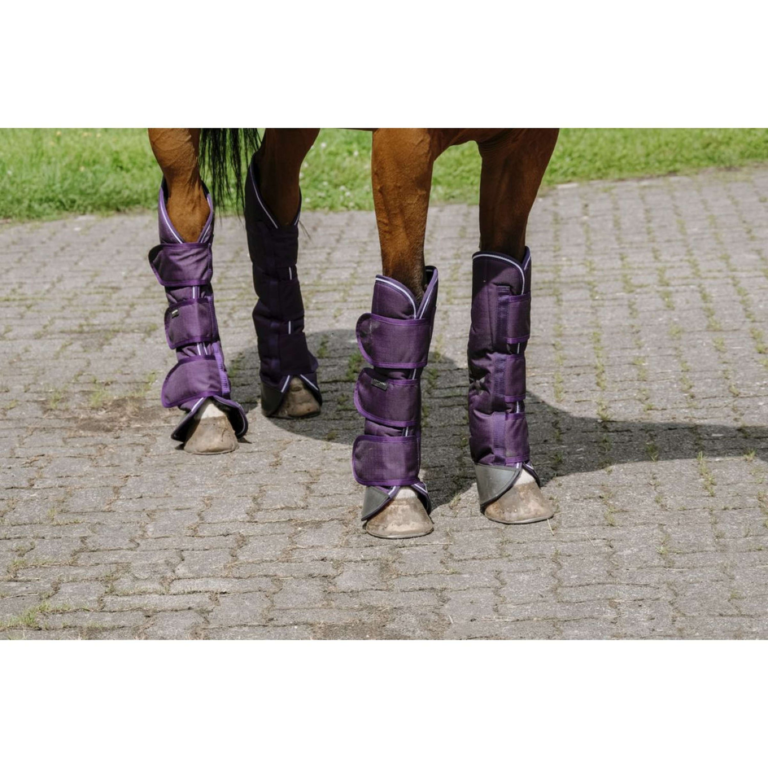 EQUITHÈME Transportgamaschen Tyrex 600D