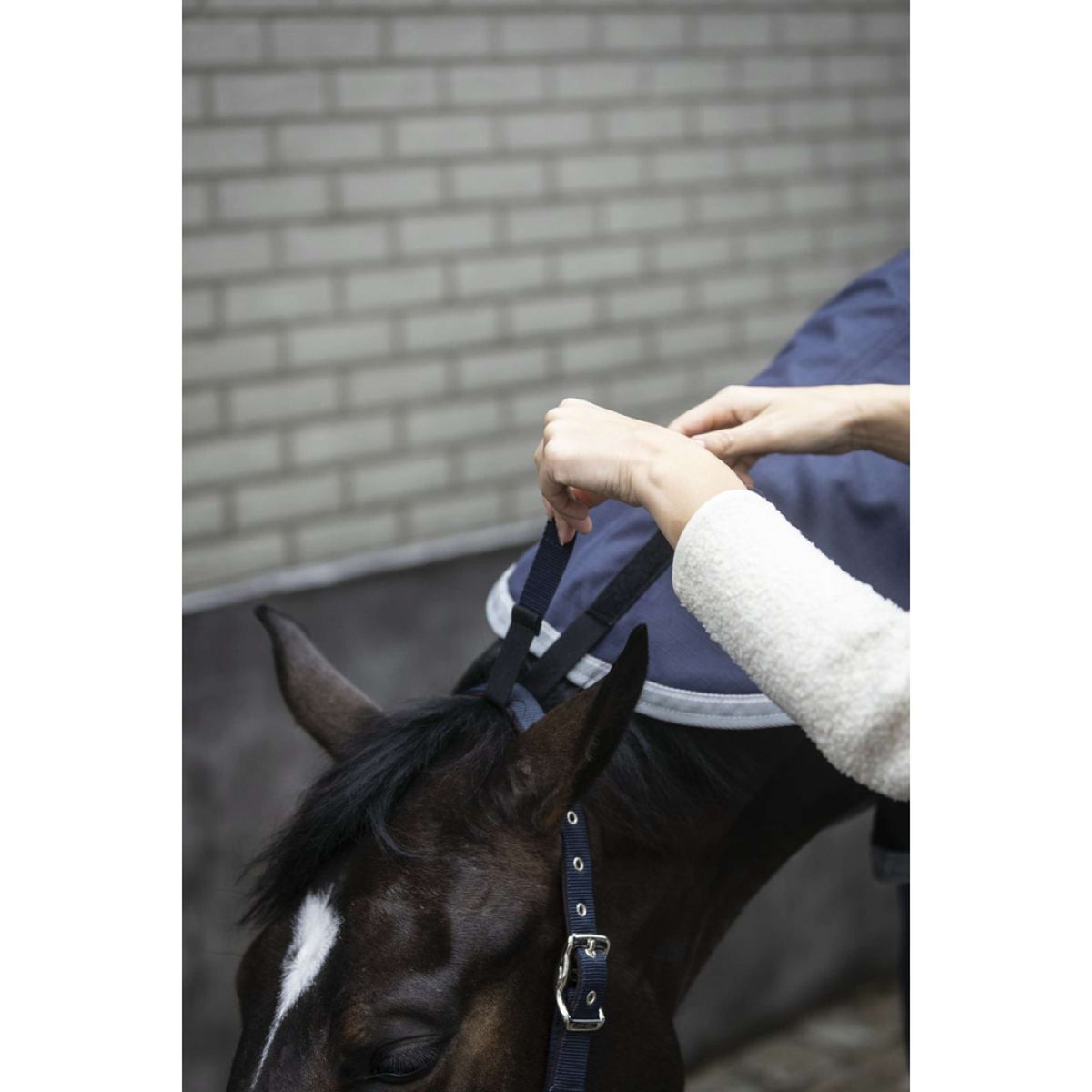 Lami-Cell Halsstück Armadillo Navy