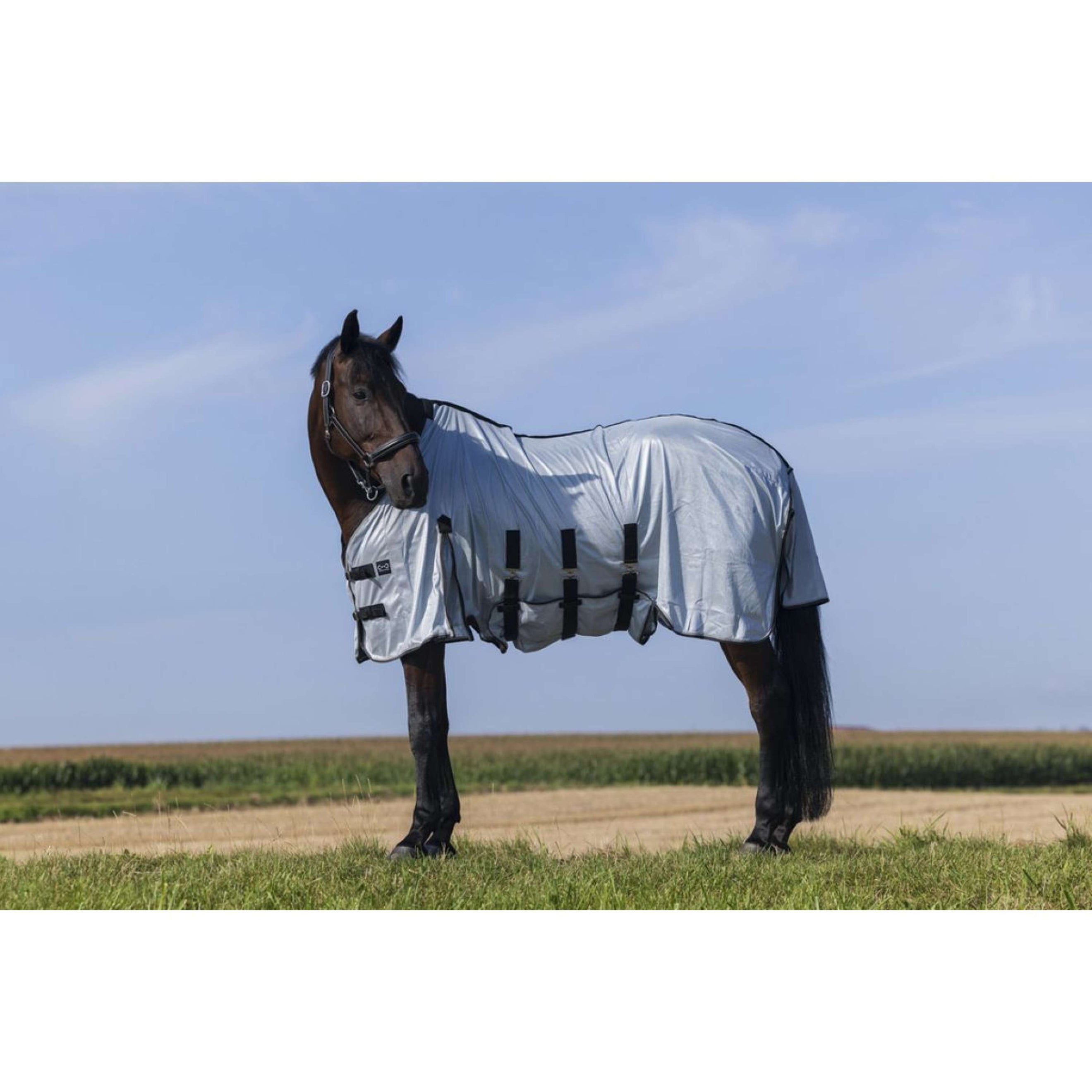 Riding World Fliegendecke Belly Mesh Grau