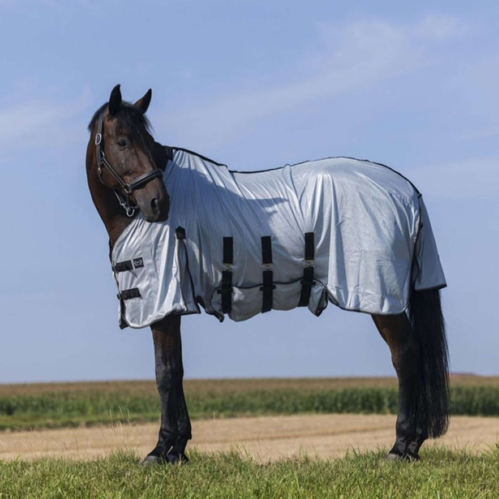 Riding World Fliegendecke Belly Mesh Grau