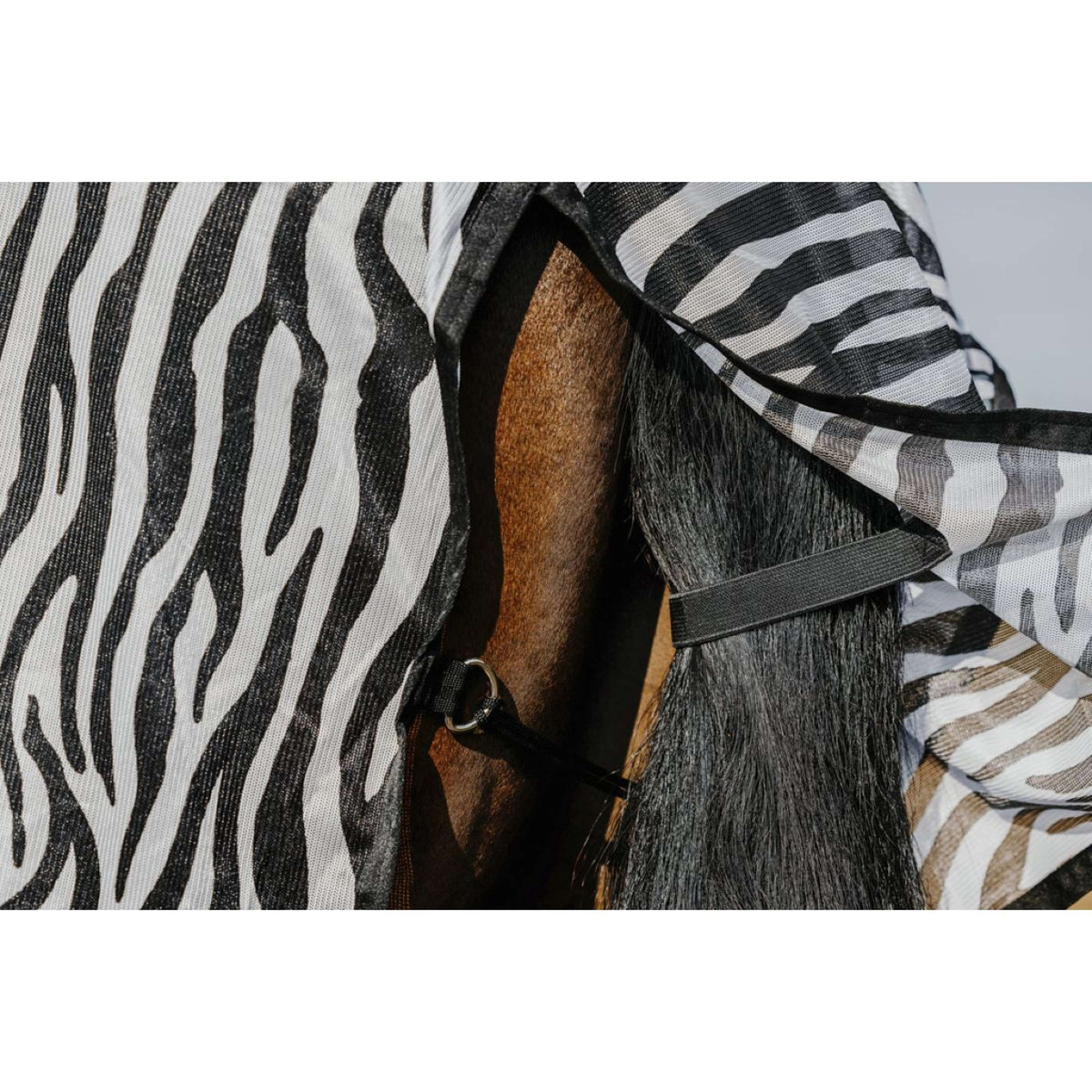 Riding World Fliegendecke Belly Mesh Zebra