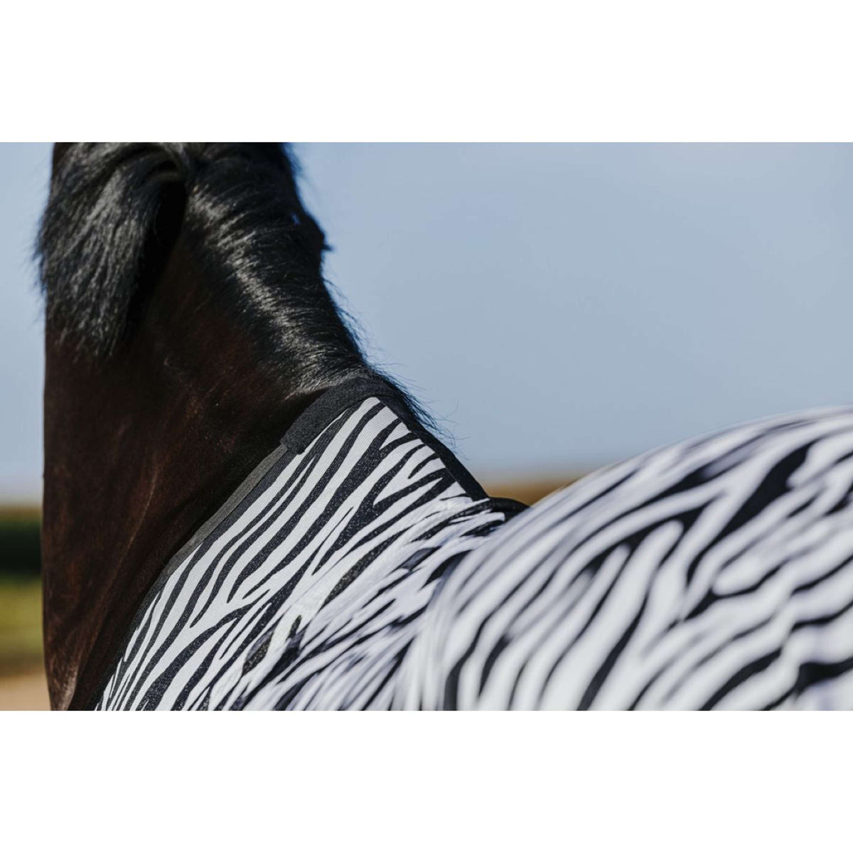 Riding World Fliegendecke Belly Mesh Zebra
