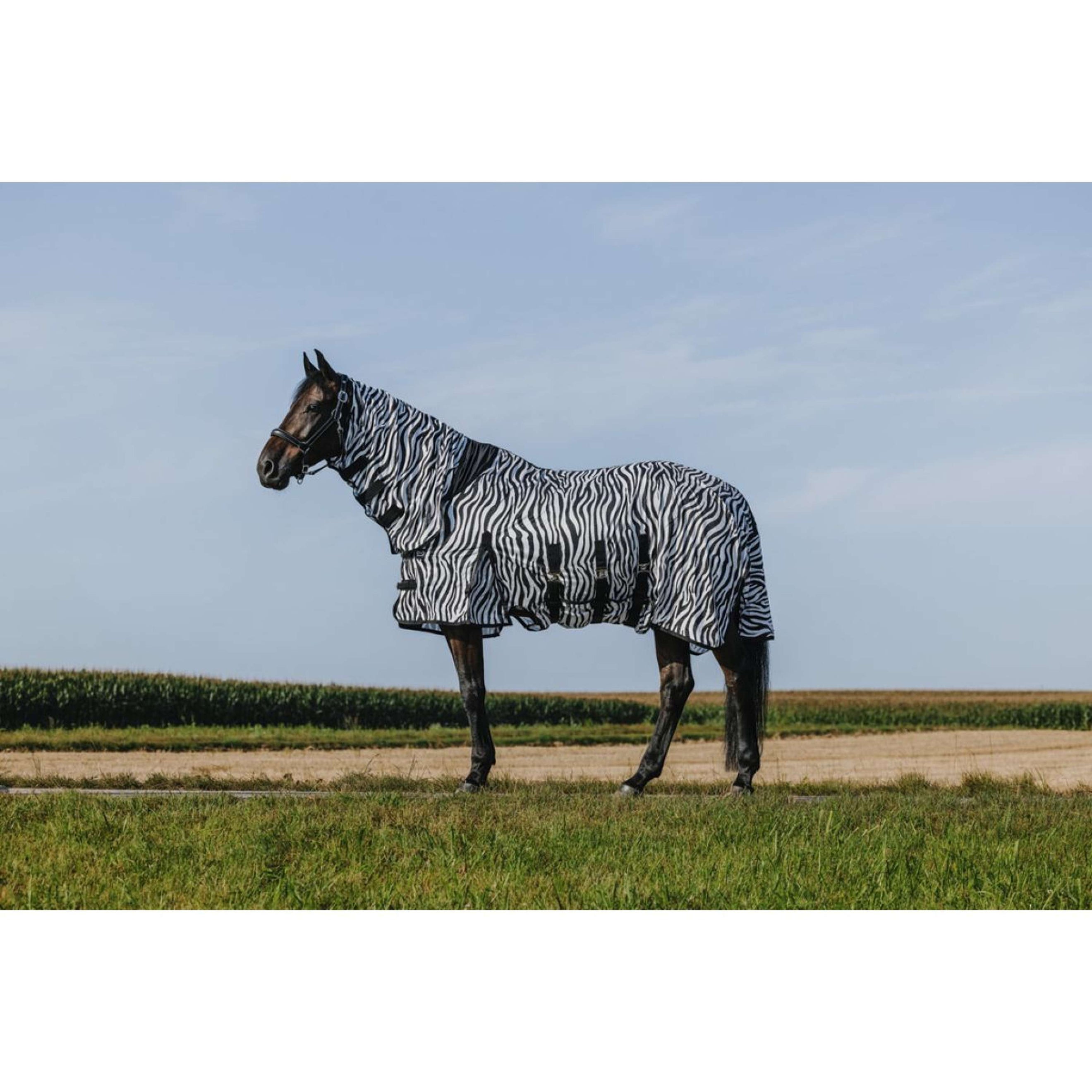 Riding World Fliegendecke Belly Mesh Combo Zebra