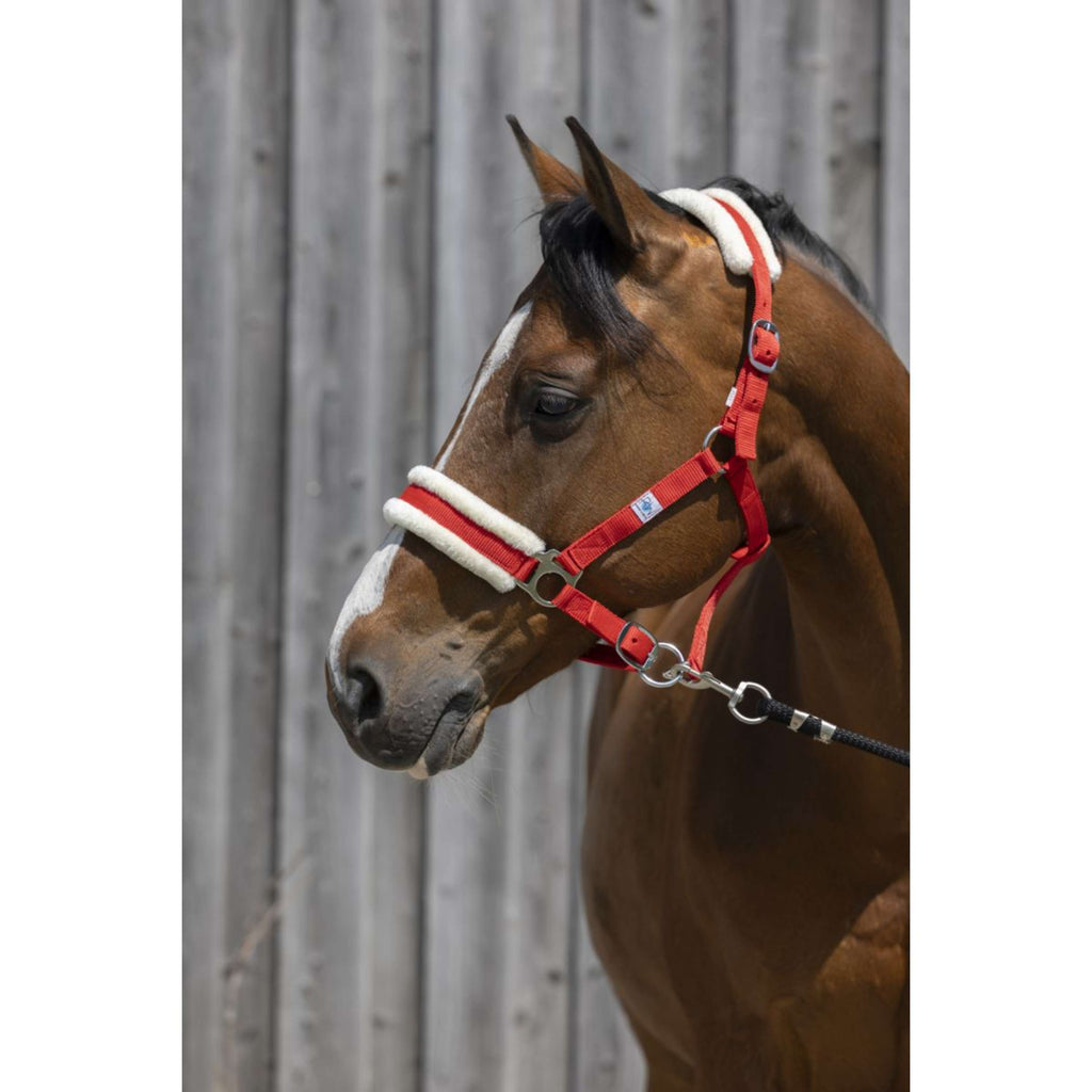 Riding World Halfter Synthetic Fur Rot