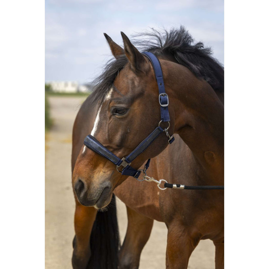 EQUITHÈME Halfter Strass Nylon Navy