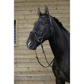 Riding World Trense mit Kombiniertem Nasenriemen Schwarz