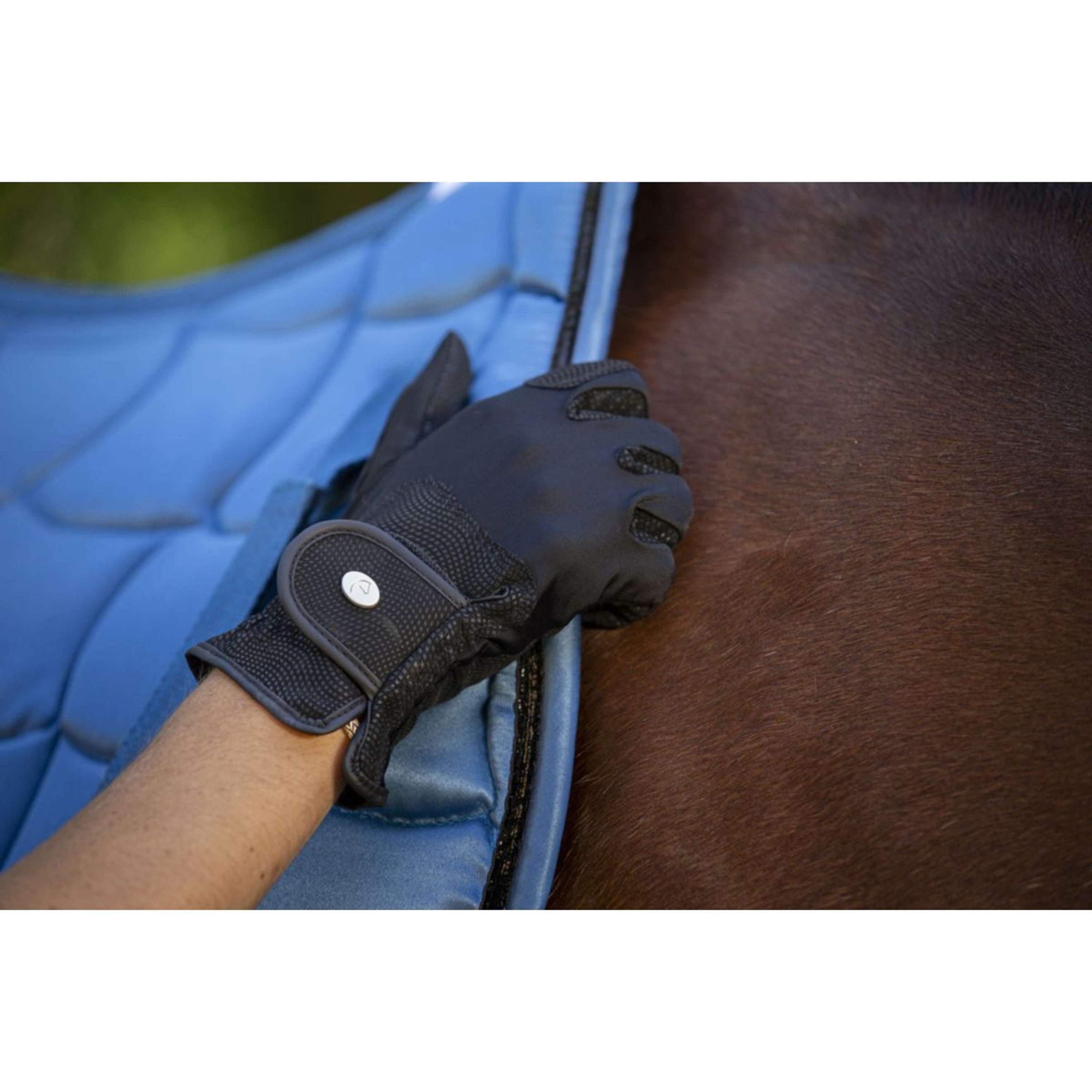 EQUITHÈME Handschuhe Soft Schwarz