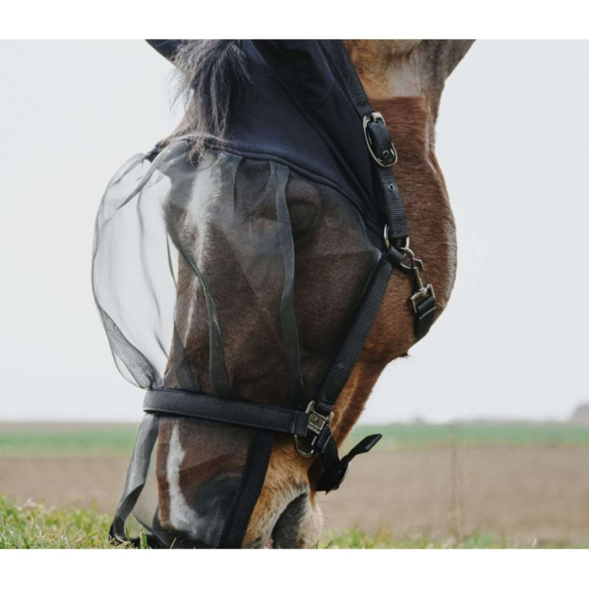 EQUITHÈME Halfter mit Maske Anti-UV Schwarz