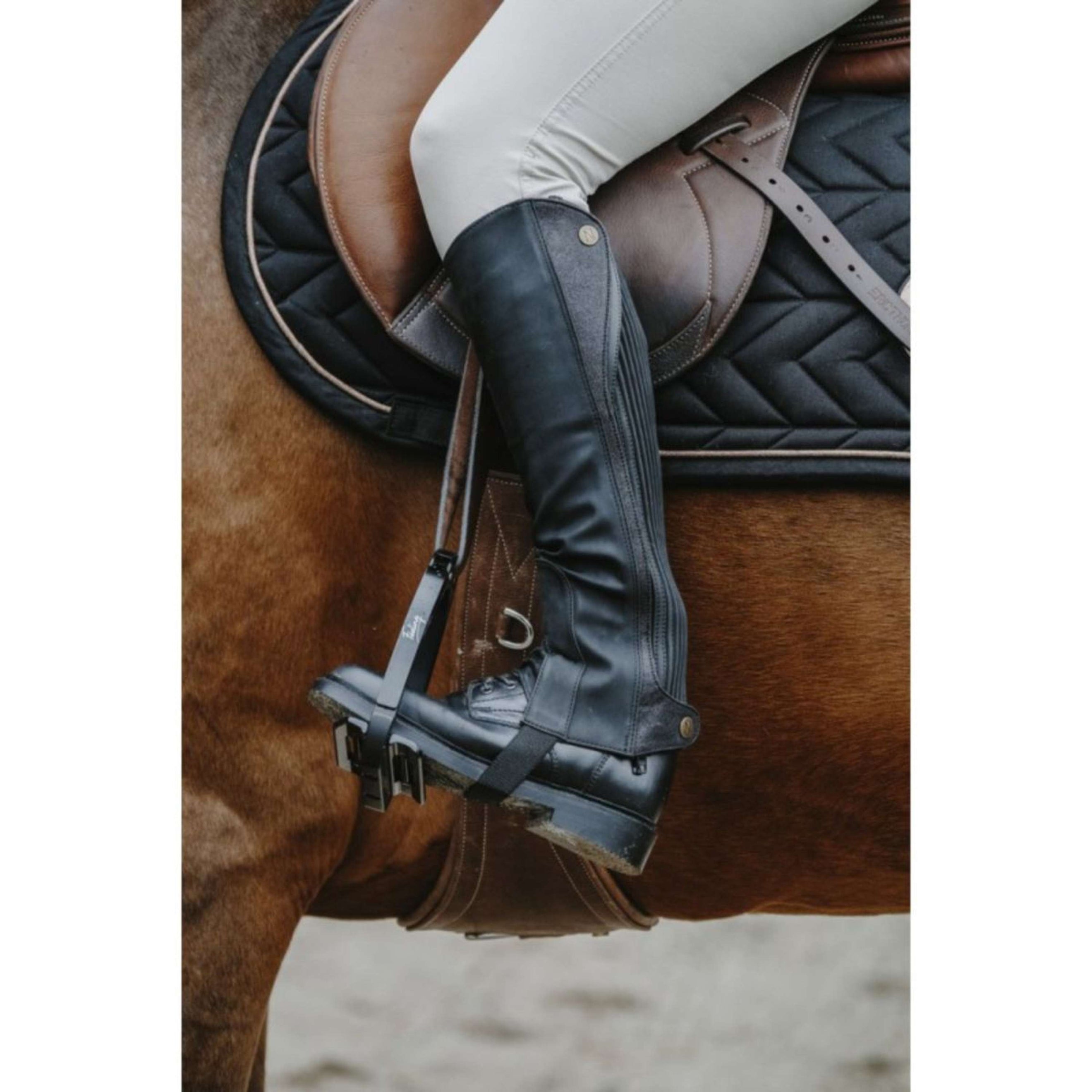 Norton Chaps Galaxy Schwarz Norton Chaps Galaxy Schwarz