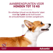 Advantix 40/200 Spot-On Hund < 4kg