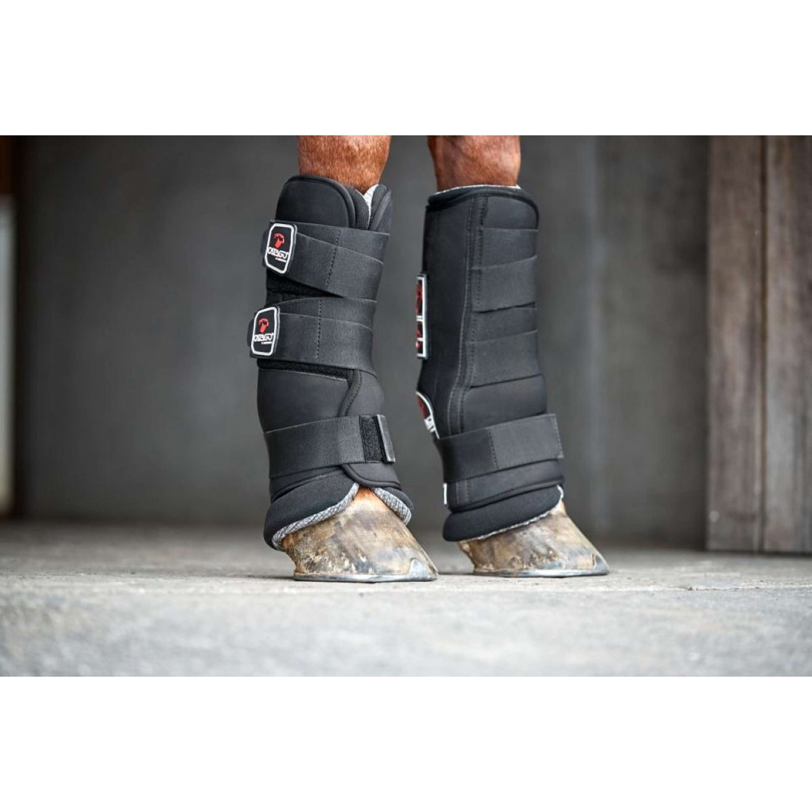 Catago Neoprene Shell for Stable Boot Schwarz