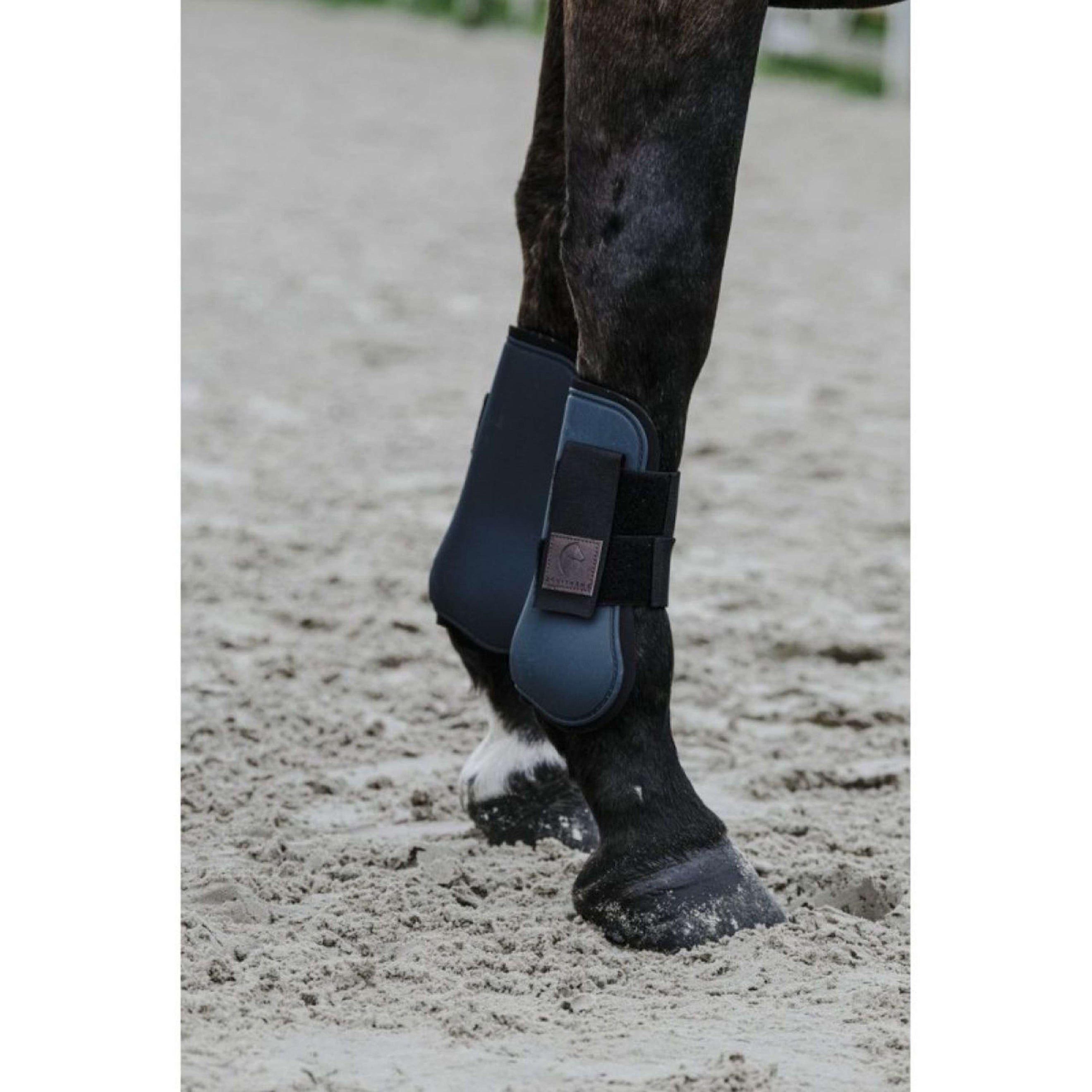 EQUITHÈME Gamaschen Grün EQUITHÈME Gamaschen Grün