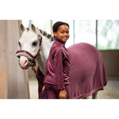Eskadron Halfter Heritage Glamslate FF Double Pin Cassis