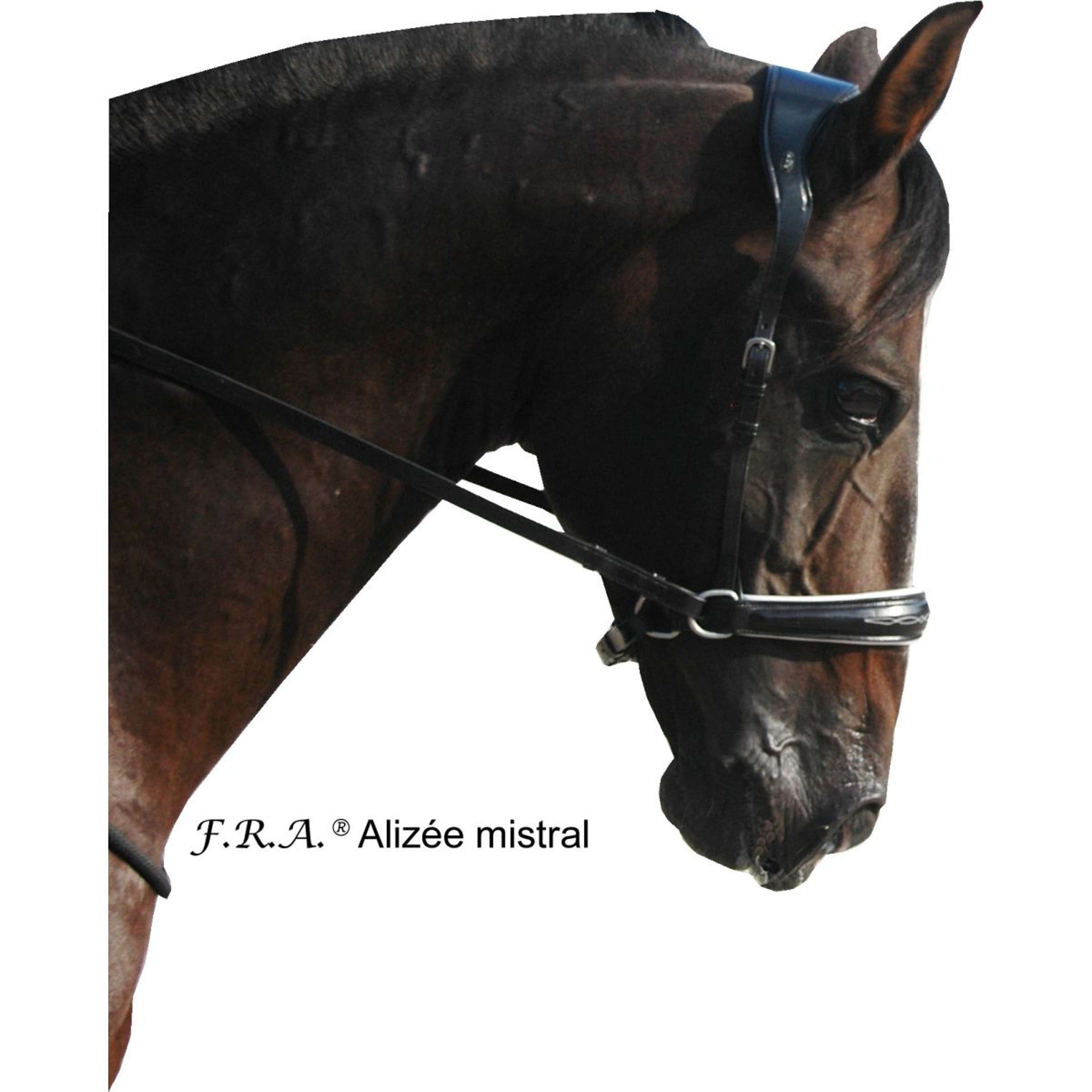 F.R.A. Gebisslose Trense Alizée Mistral Side Pull Gummigriff Zügel Schwarz/Weiß F.R.A. Gebisslose Trense Alizée Mistral Side Pull Gummigriff Zügel Schwarz/Weiß