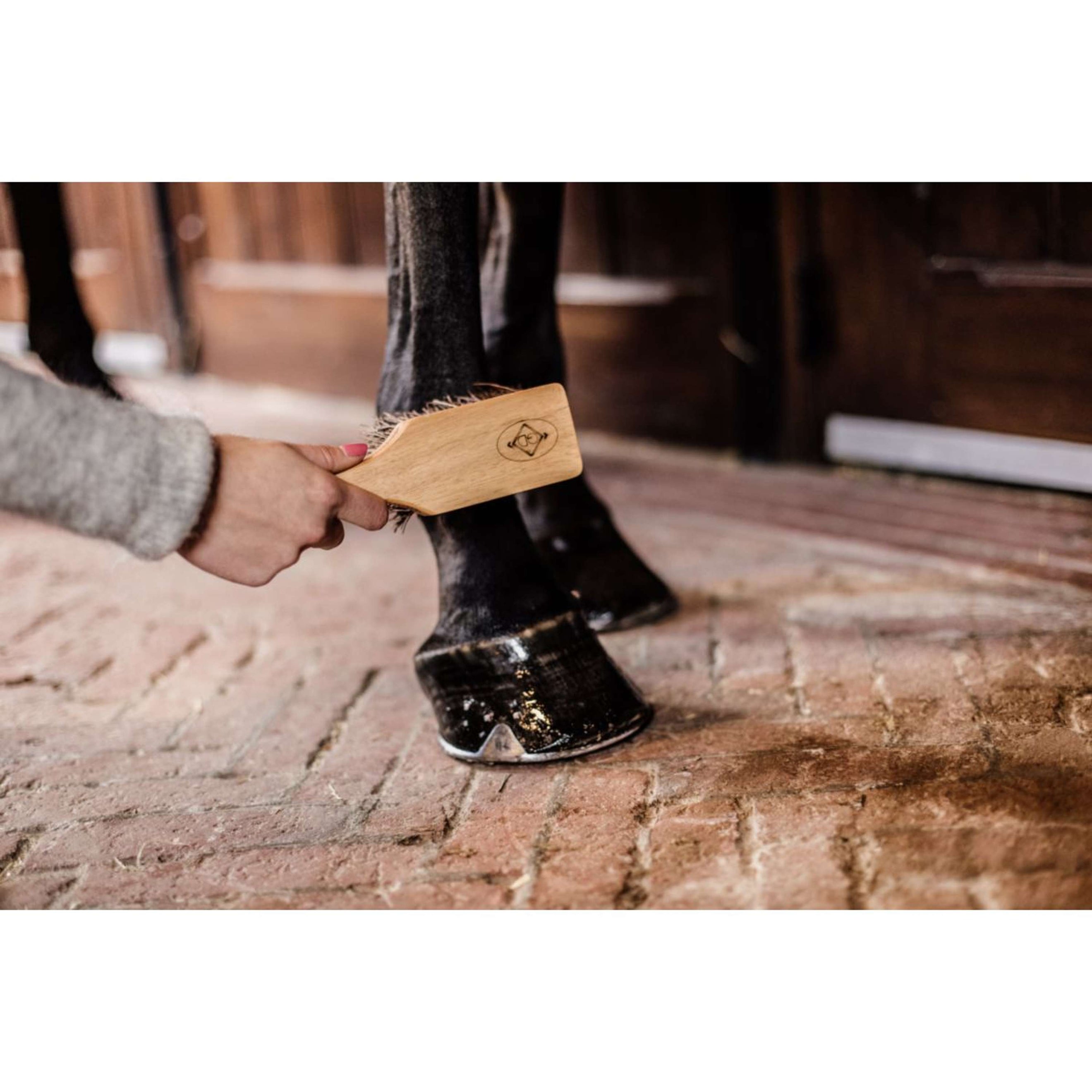 Grooming Deluxe by Kentucky Hufbürste Grooming Deluxe by Kentucky Hufbürste