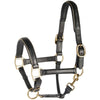 Harry's Horse Halfter Leder mit Biese Gold