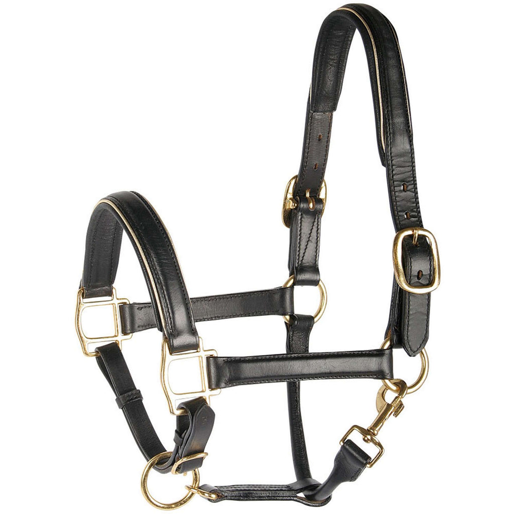 Harry's Horse Halfter Leder mit Biese Gold