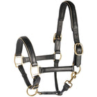 Harry's Horse Halfter Leder mit Biese Gold