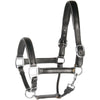 Harry's Horse Halfter Leder mit Biese Silber