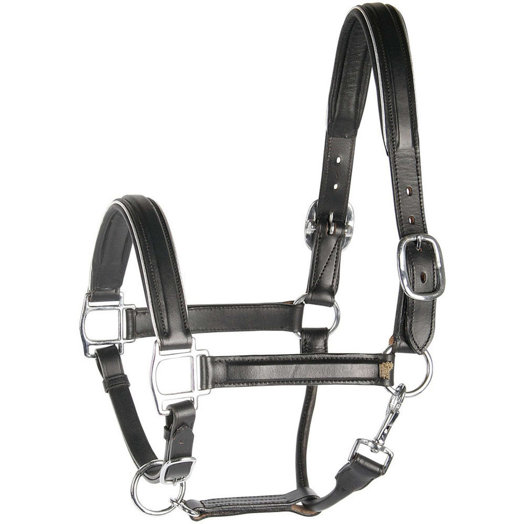 Harry's Horse Halfter Leder mit Biese Silber