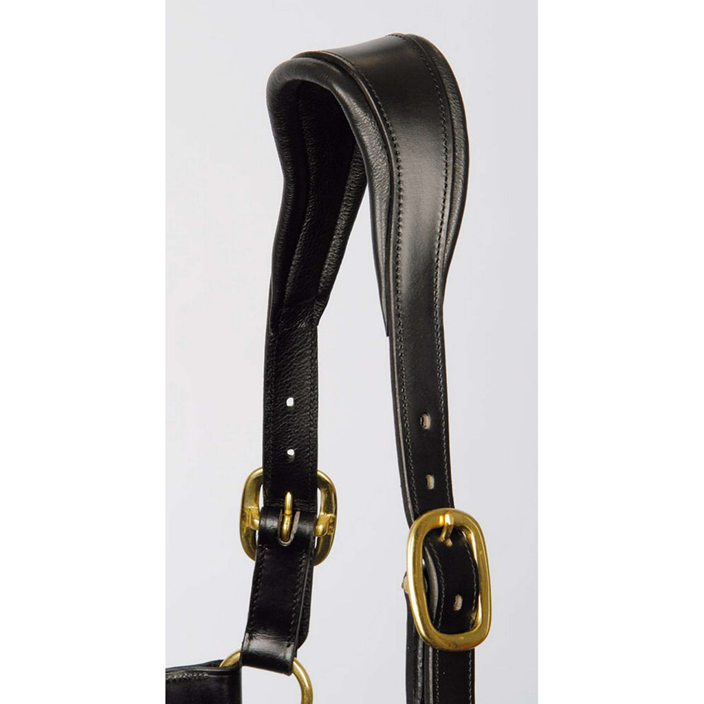 Harry's Horse Halfter Anatomisches Leder Schwarz