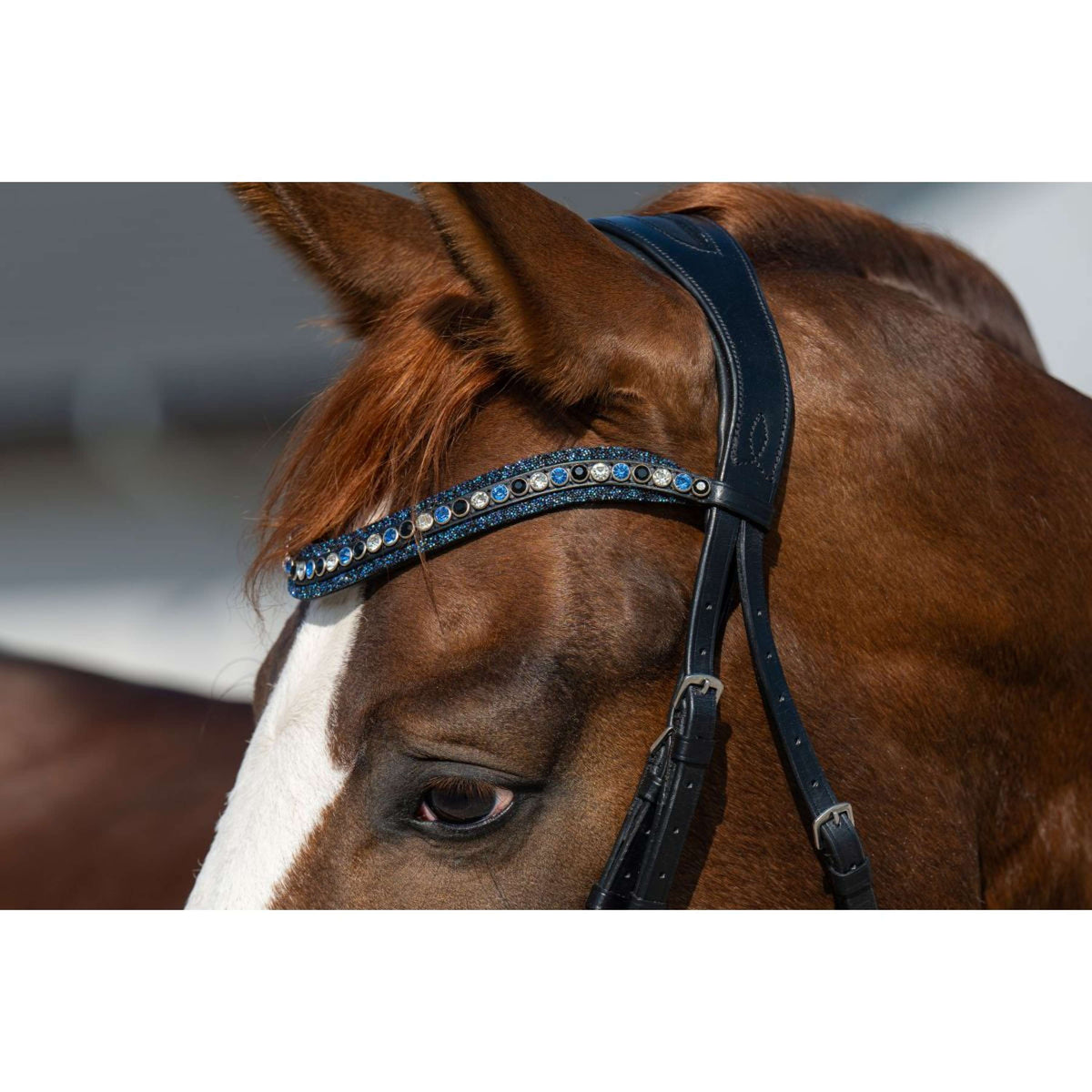 HB Zaum Showtime It is So Special Schwarz/Navy Funkeln