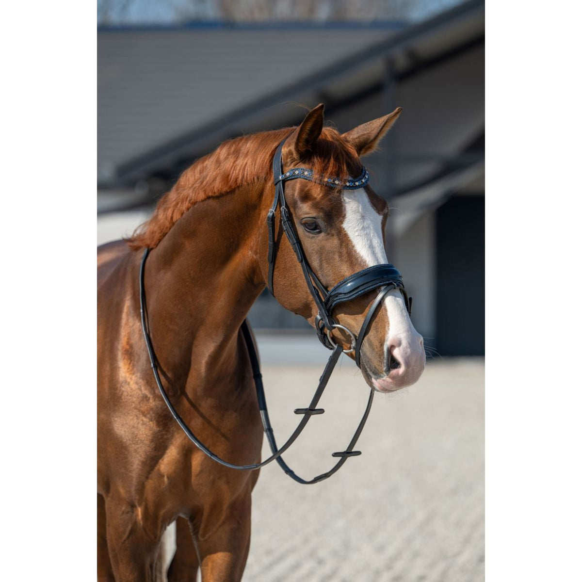 HB Zaum Showtime It is So Special Schwarz/Navy Funkeln