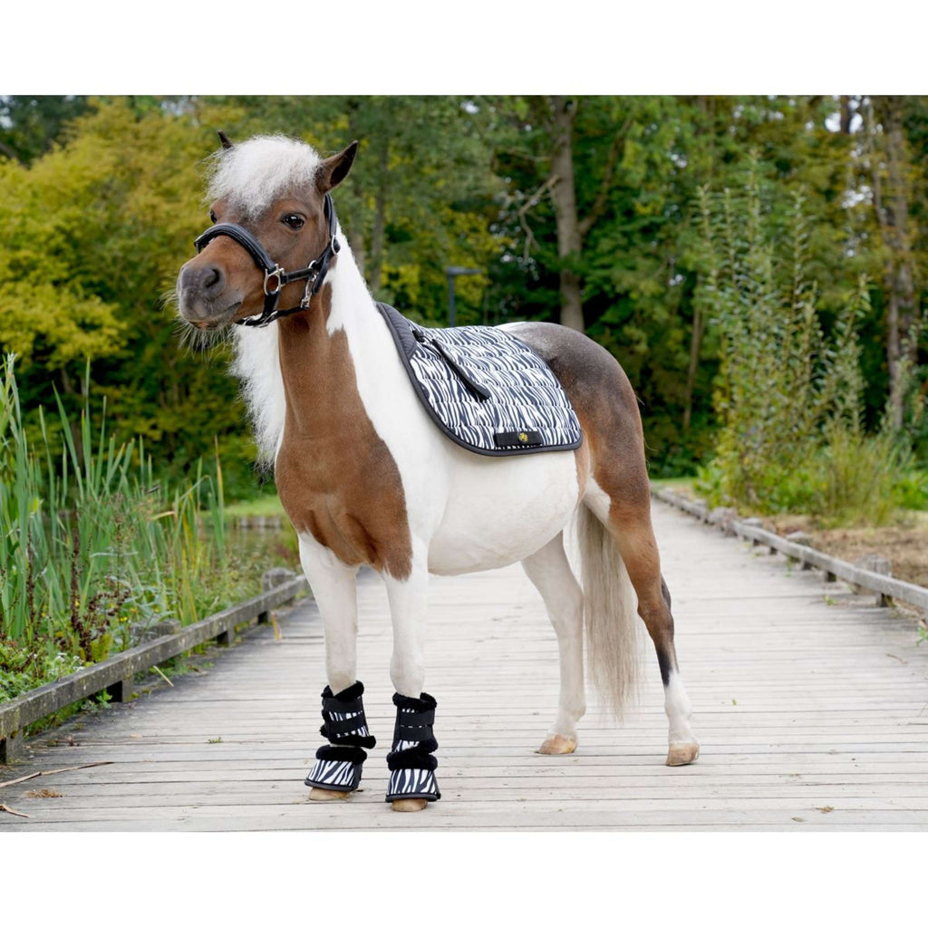 HB Schabracke Zebra Vielseitigkeit Schwarz/Weiß