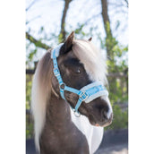 HB Halfter Nylon Kappzaum Hellblau