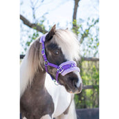 HB Halfter Nylon Kappzaum Violett