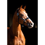 HB Showtime Halfter Rivet Swarovski Leder Schwarz Navy