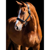 HB Showtime Halfter Rivet Swarovski Leder Schwarz Navy