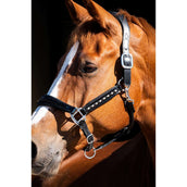 HB Showtime Halfter Rivet Swarovski Leder Schwarz