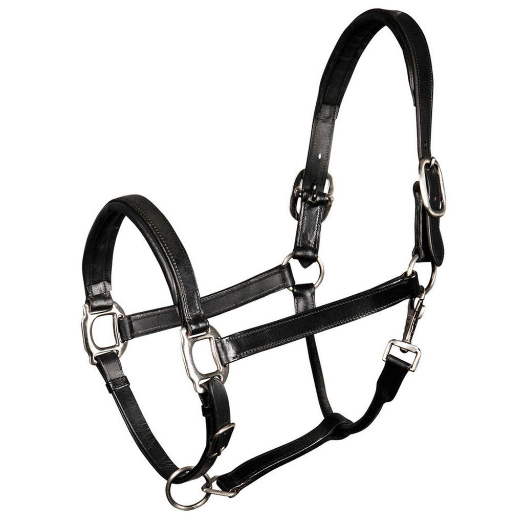 Harry's Horse Halfter Padded Leder Schwarz