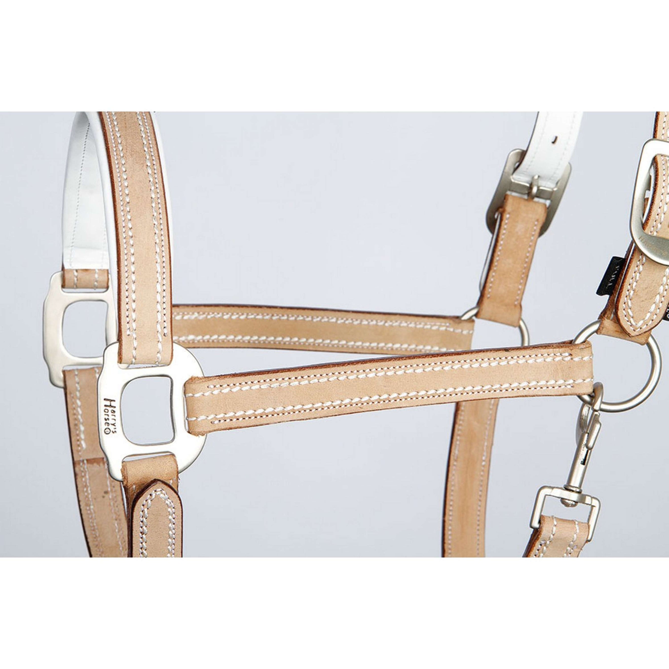 Harry's Horse Halfter Cremello Leder Beige Harry's Horse Halfter Cremello Leder Beige