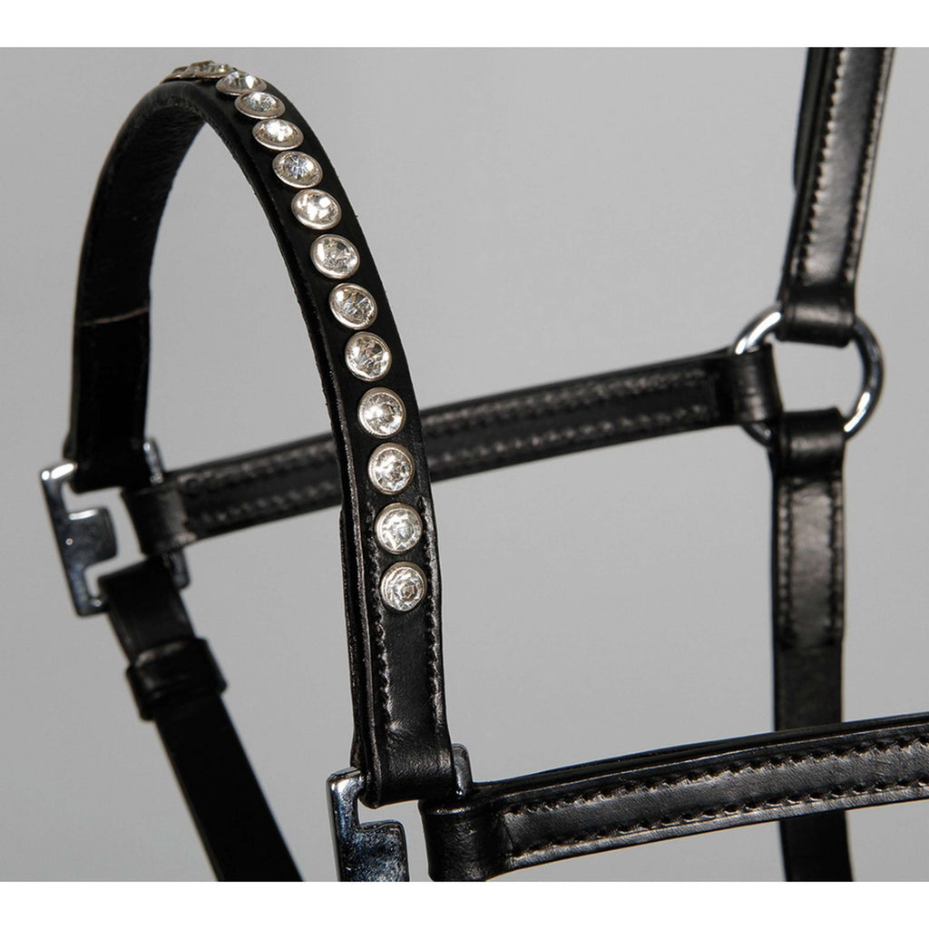 Harry's Horse Halfter Crystal Schwarz/Silber